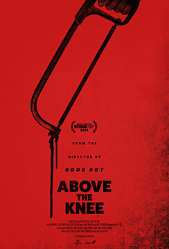 Above The Knee