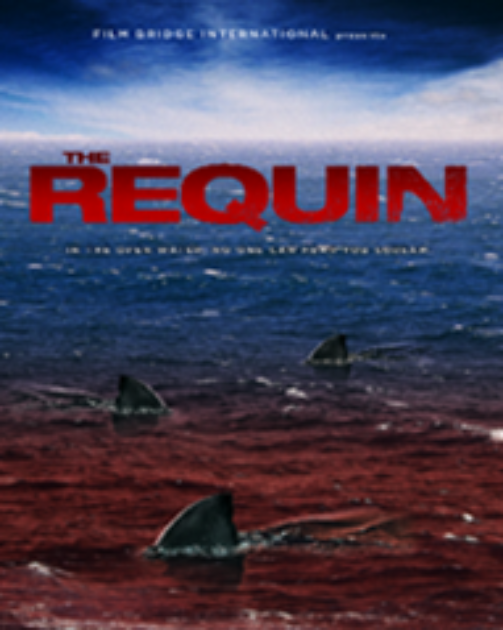 The Requin Streaming 2022 The Film Catalogue | THE REQUIN