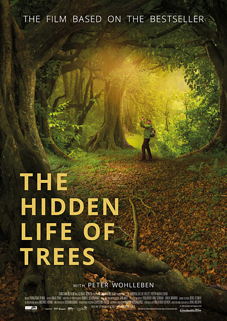 The Sea Of Trees Trailer Espanol