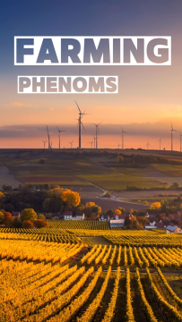 Farming Phenoms