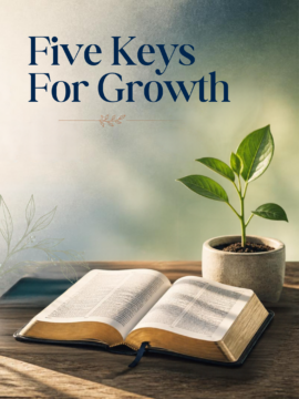 Five Keys For Growth