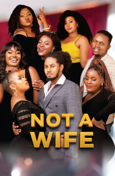 Not a wife