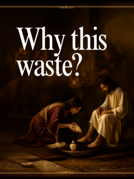 Why This Waste?