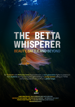 The Betta Whisperer: Beauty, Battle and Beyond