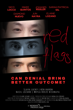 The Analyst: Red Flags