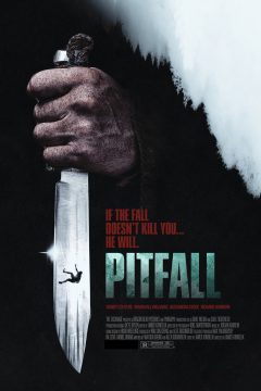 Pitfall