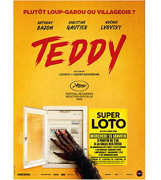 Teddy