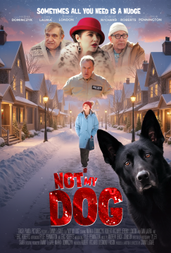 NOT MY DOG