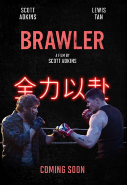 Brawler