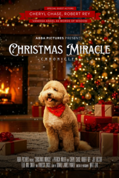 Christmas Miracle Chronicles