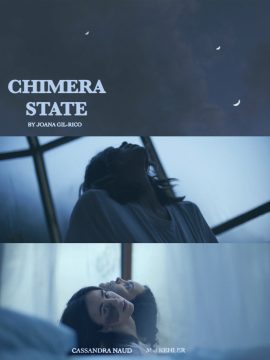 Chimera State