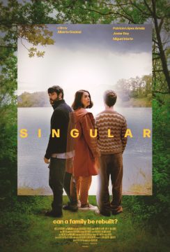SINGULAR